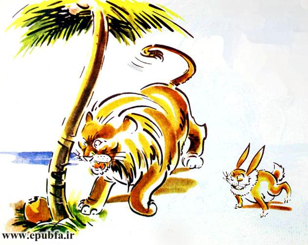 شیر، اطراف را بهدقت نگاه کرد و یک نارگیل بزرگِ ترکخورده را در زیر درخت دید